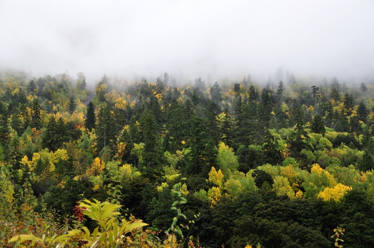 DSC_0812.jpg
