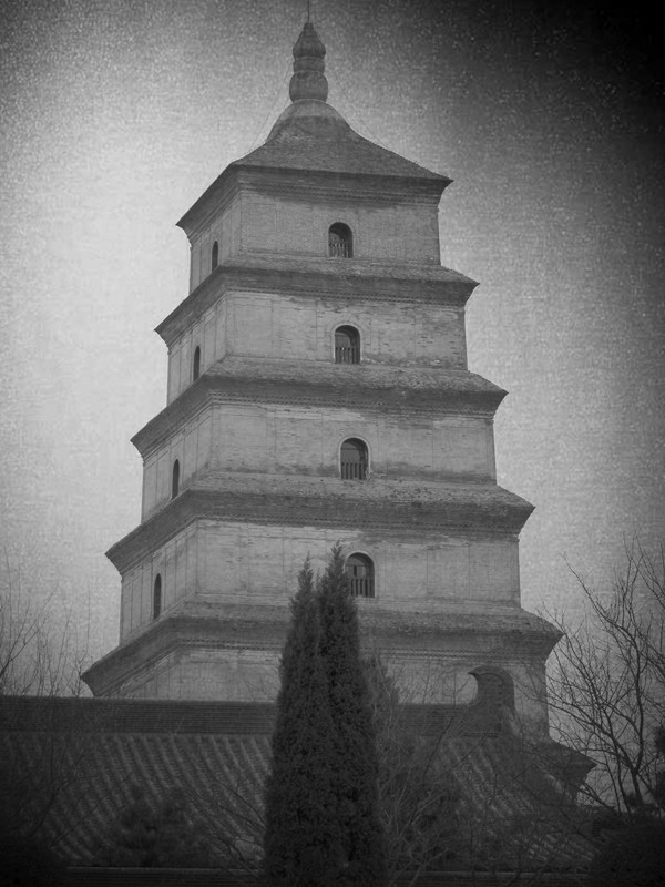 P2170197_副本.jpg