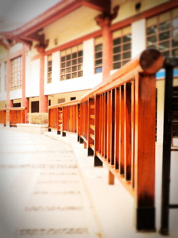 P2170209_副本.jpg