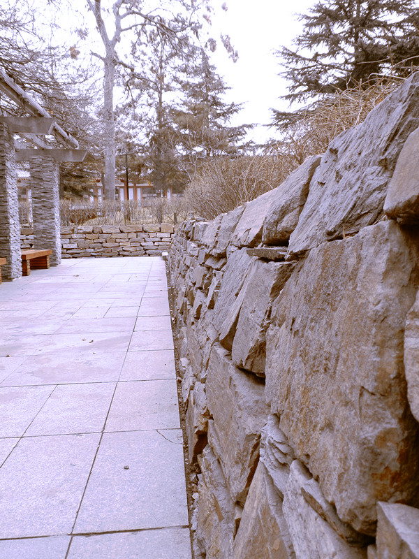 P2170212_副本.jpg