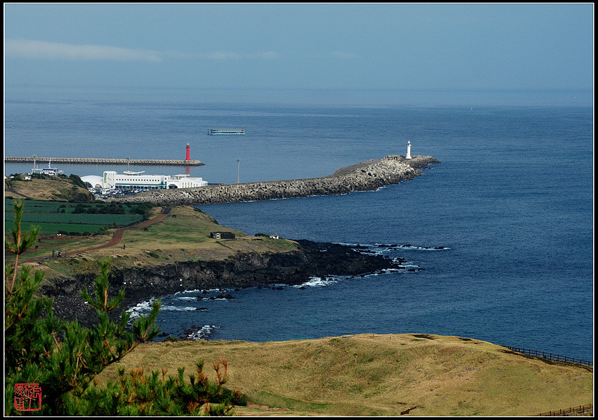 DSC_3482-1.jpg