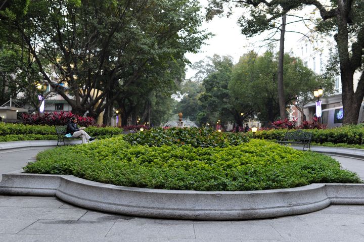 DSC_3174.jpg