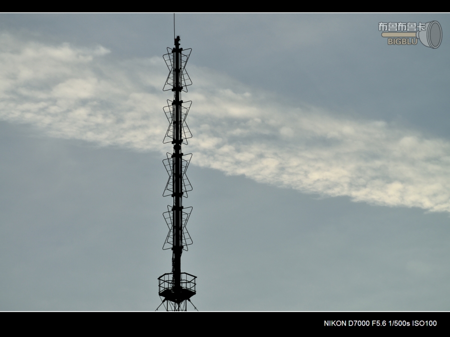 DSC_3459.jpg