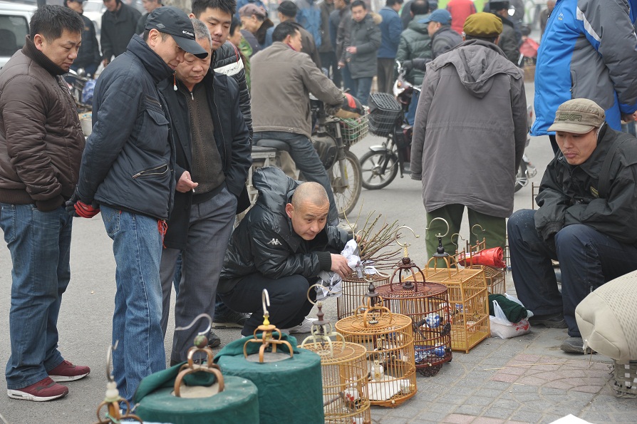 DSC_2407.JPG