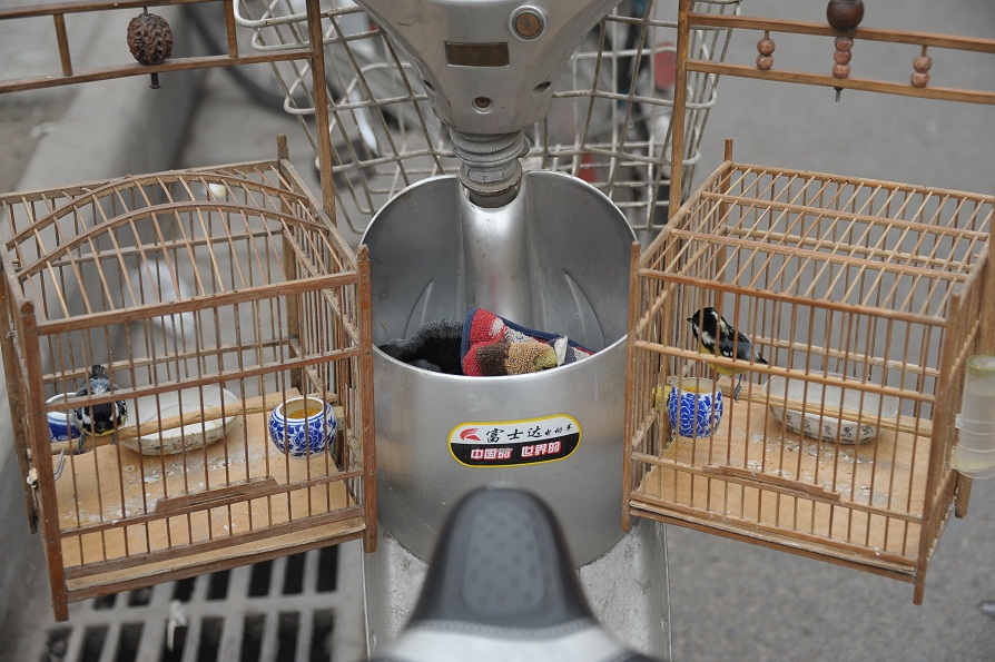 DSC_2409.JPG