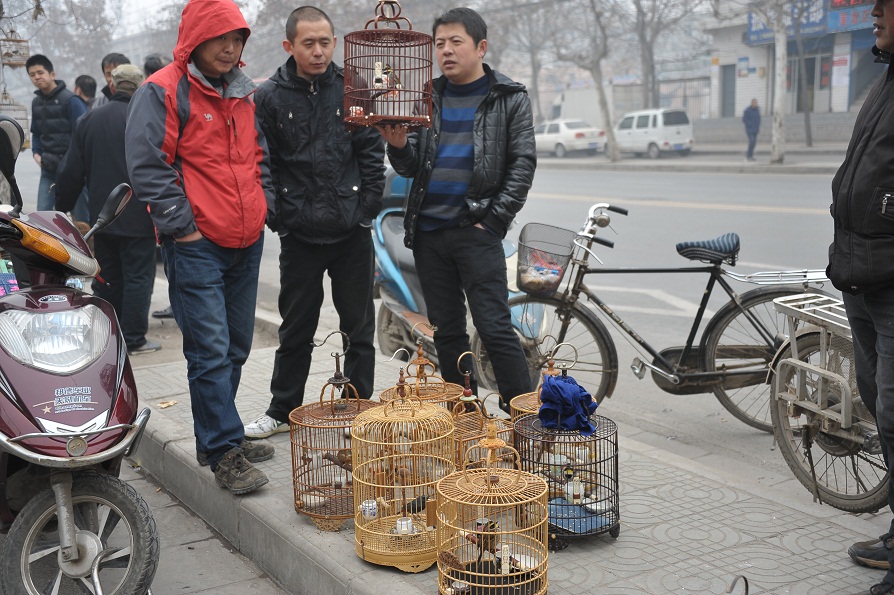 DSC_2415.JPG