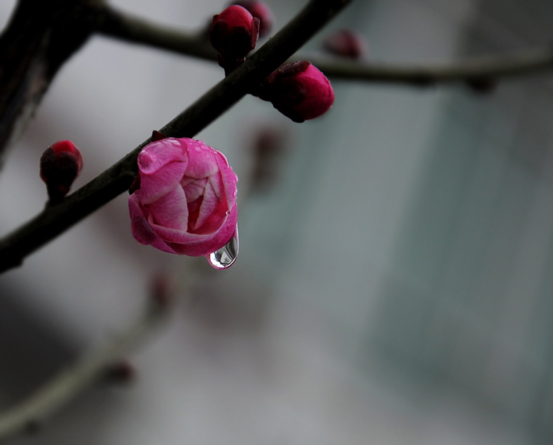 _DSC0079 复制-1.jpg