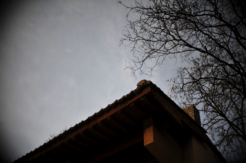 DSC_1105.jpg