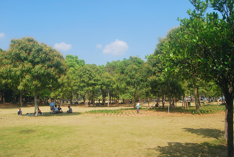 DSC_1028_副本.jpg