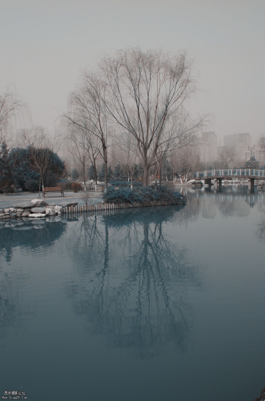 IMGP3905_副本.jpg