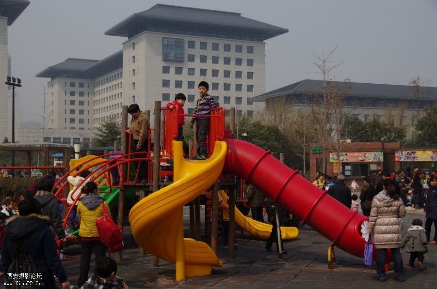 IMGP3922_副本.jpg