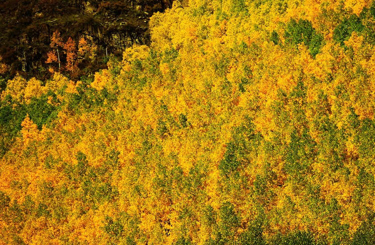 4349040220111112105738203_008_640.jpg