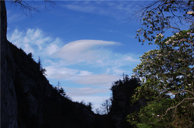 IMGP0887_副本.jpg