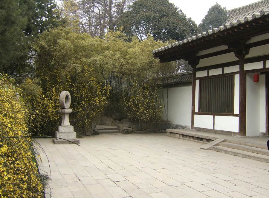 DSCF2427.JPG