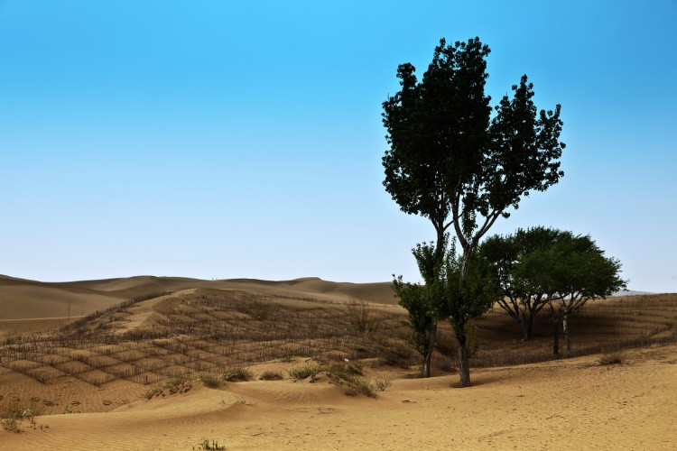 2010661564[1].jpg