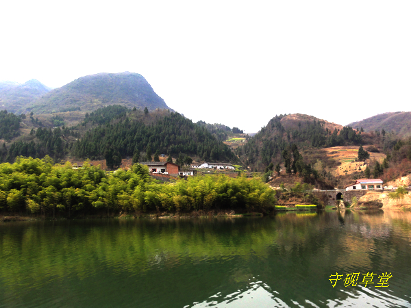DSC00507.jpg