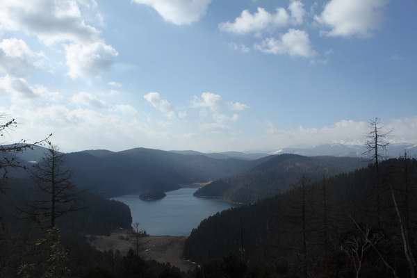 IMG_7774.jpg