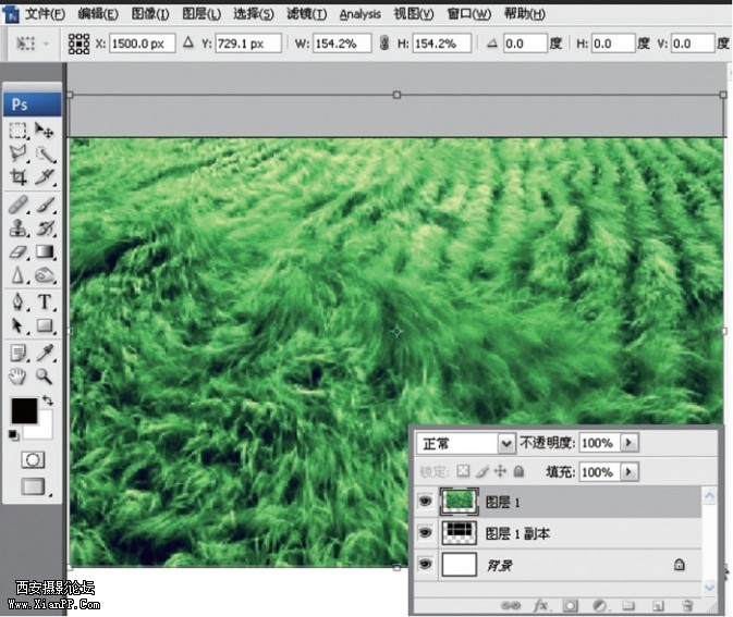 fenge9-673x567.jpg