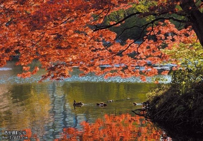 japan6-673x467.jpg