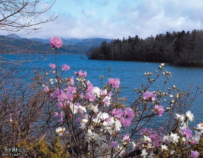 japan10-673x523.jpg