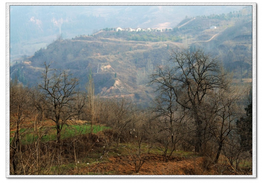 IMG_7333aa.jpg