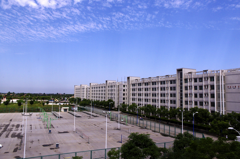 _IGP2580_conew2.jpg