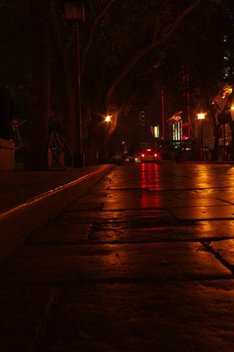 IMGP9130.JPG