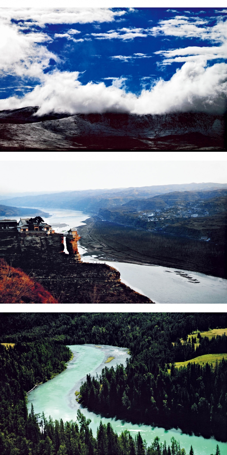 郑东鸣.jpg