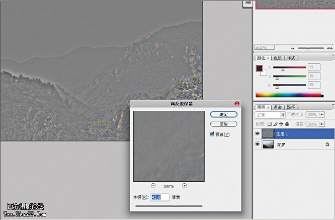 zj-1.jpg