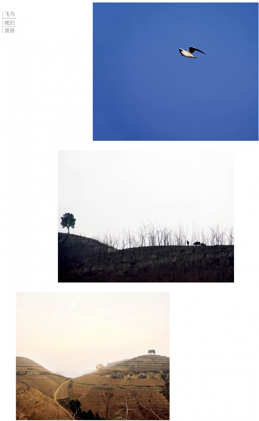 杨首恩.jpg