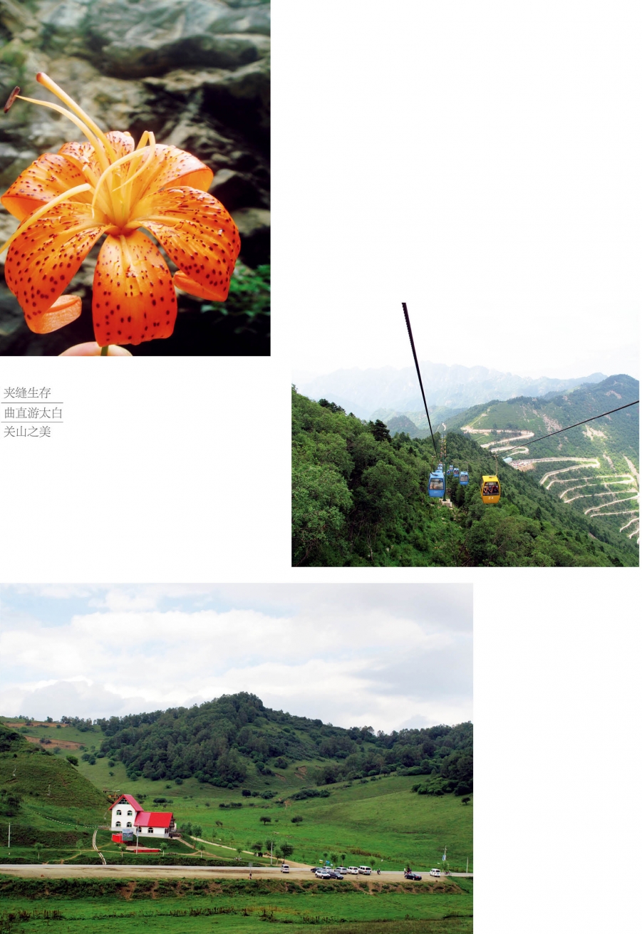 李佳邹品.jpg