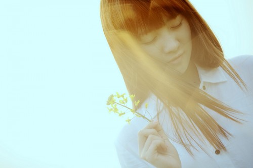 091-500x333.jpg