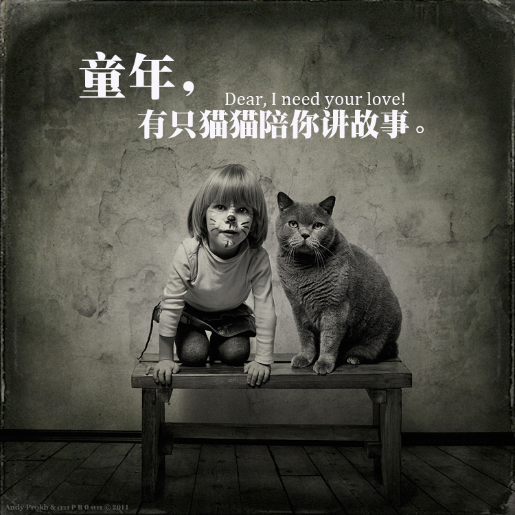 童年那只猫1.jpg
