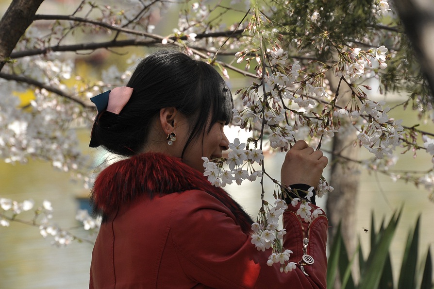 DSC_4702.JPG