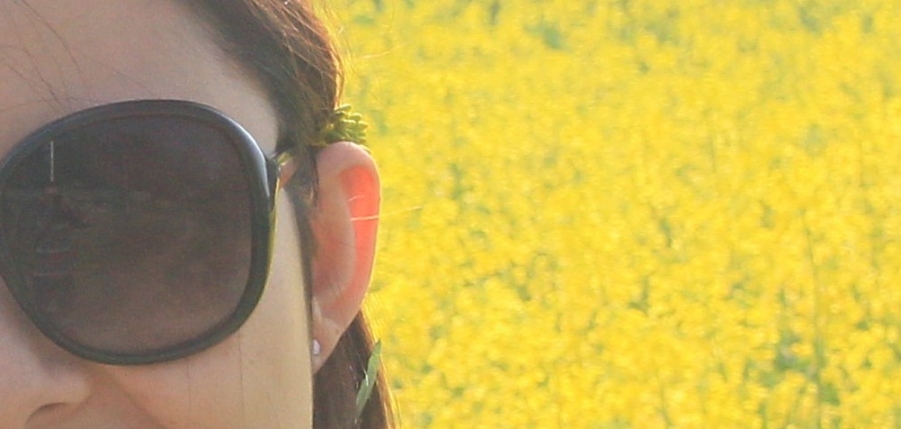 QQ截图20120404092456.jpg