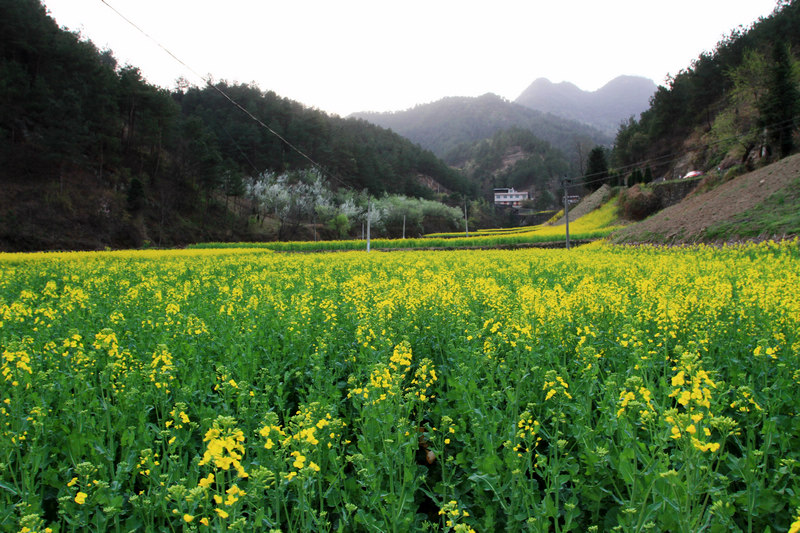 武当山、安康旅游 196.jpg