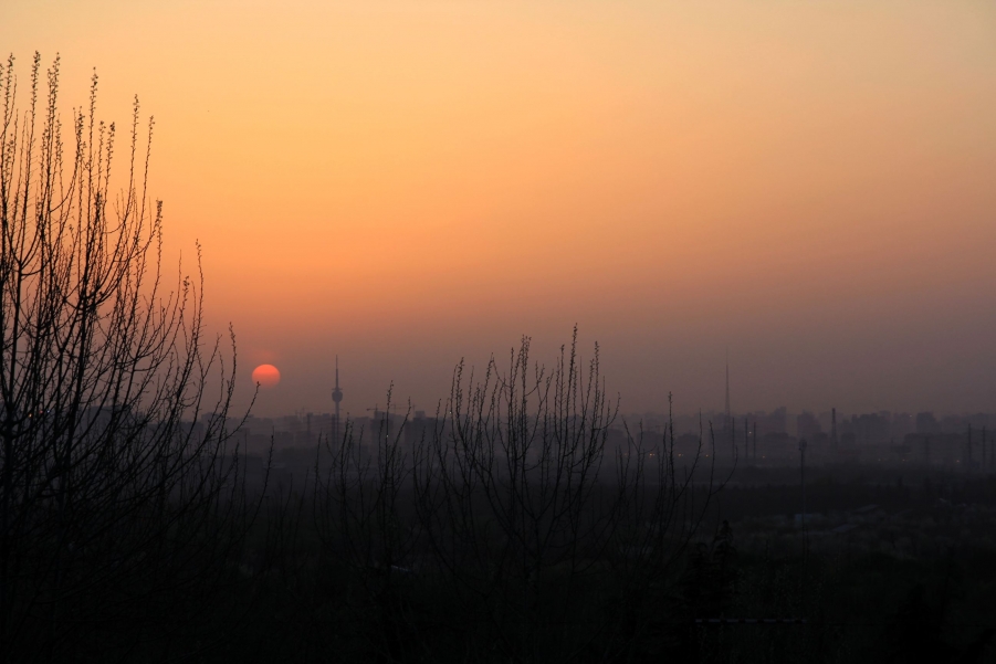 IMG_6864.jpg