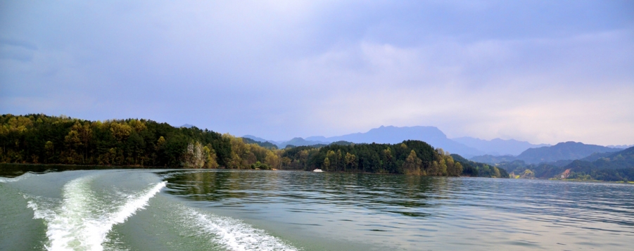 DSC_7681.jpg