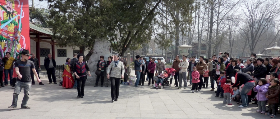 P1040338.JPG
