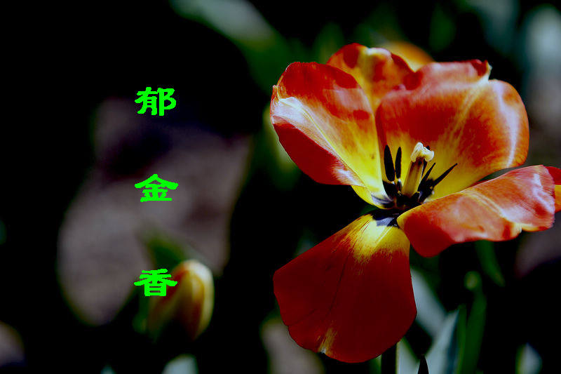 _MG_5463.jpg