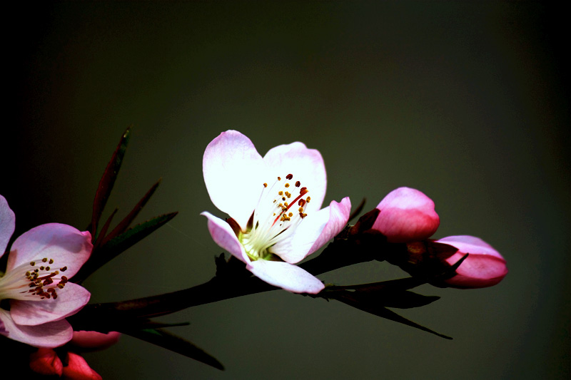 照片 039.jpg