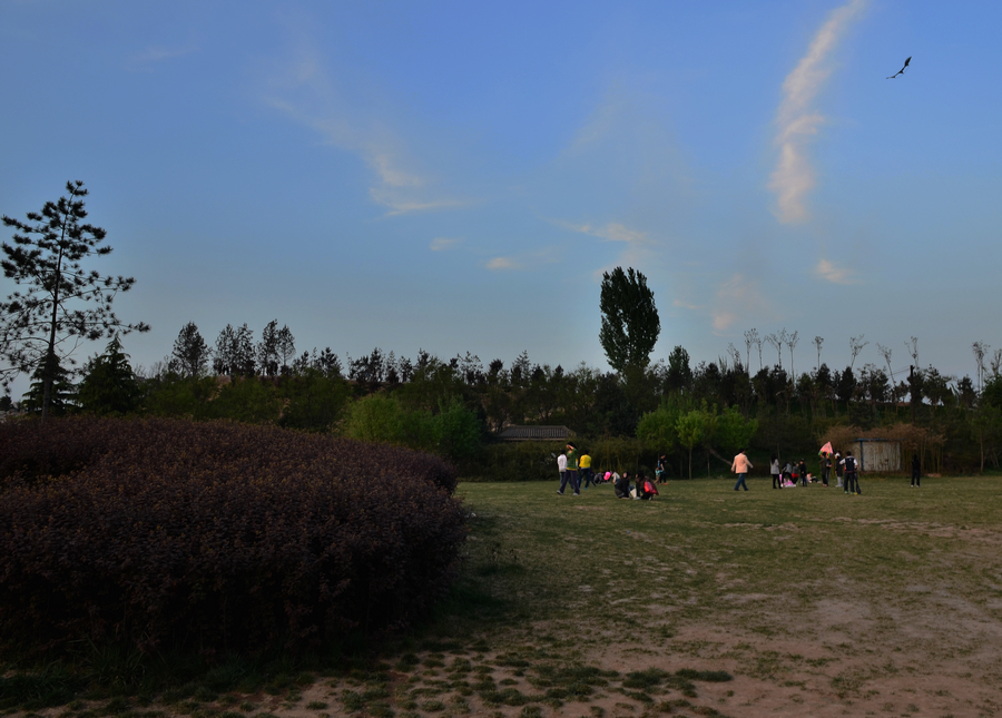 XHQ_8815.jpg