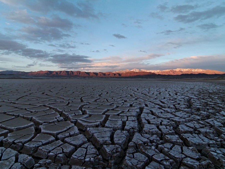 tecopa-lake-bed-mojave_50517_990x742.jpg