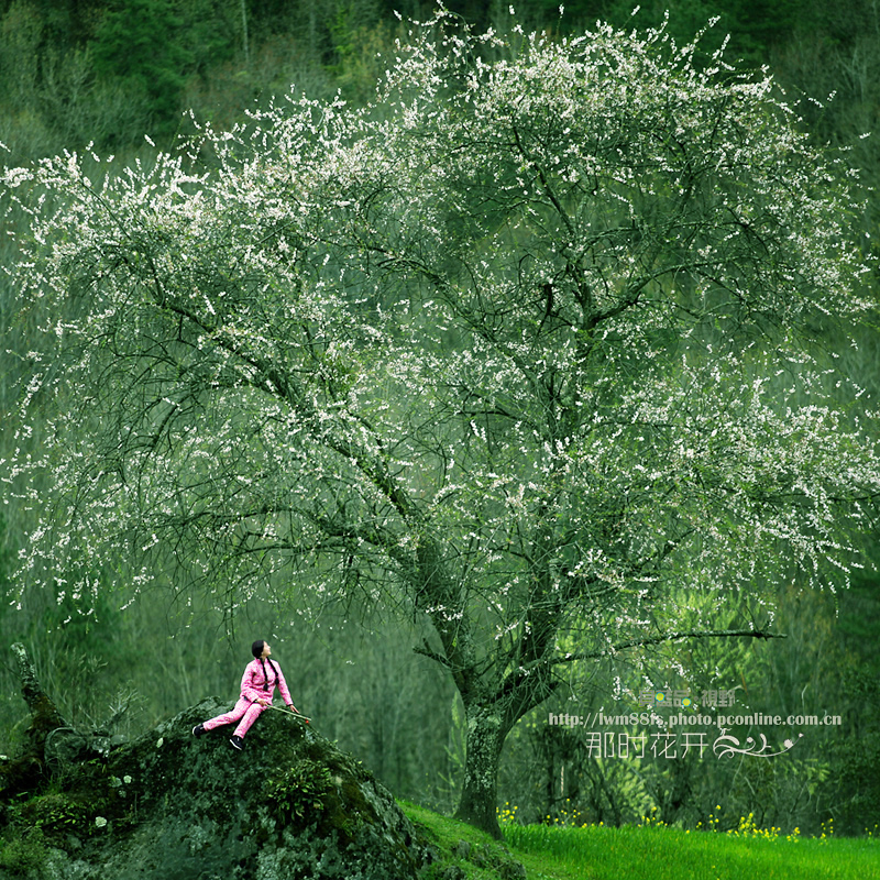 20110622_19366d9a5a0b46d1e3c39v5qpzBncqPF.jpg
