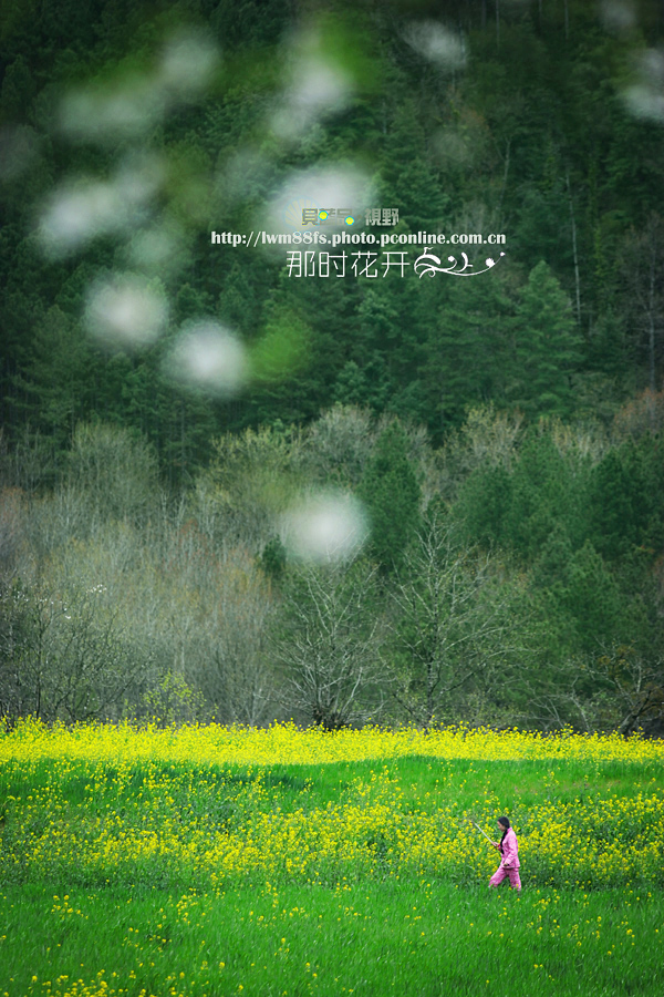 20110622_981778db85fcedf05e69kmq6icIp6onL.jpg