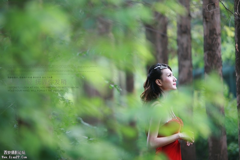 a12832024_s.jpg