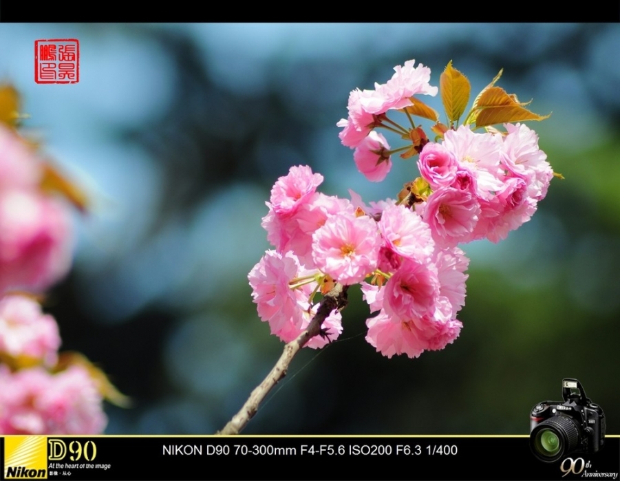a15289903_01000.jpg