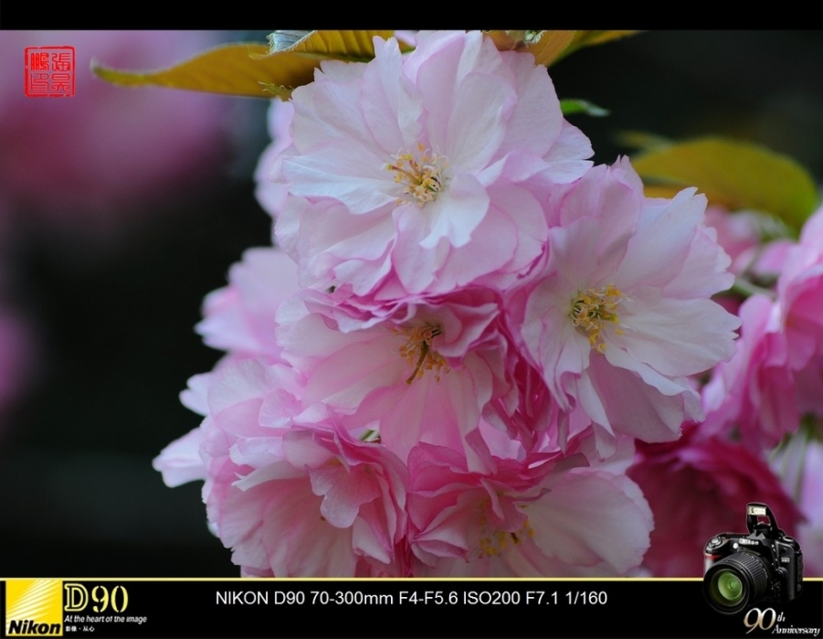 a15289923_01000.jpg