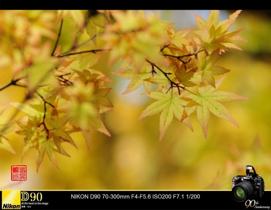 a15289931_01000.jpg