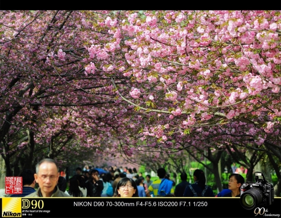 a15289944_01000.jpg